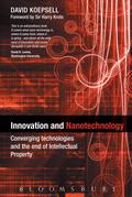 Innovation and Nanotechnology
