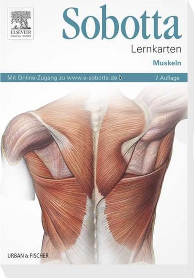 Sobotta Lernkarten Muskeln: Muskeln - mit Zugang zum Elsevier-Portal