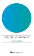 Der Absturz