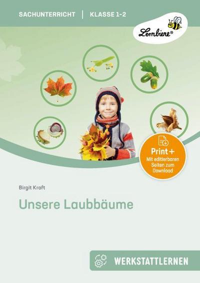 Unsere Laubbäume
