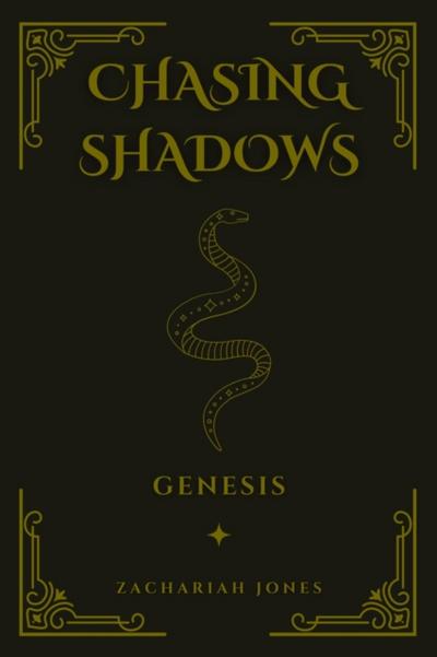 Chasing Shadows