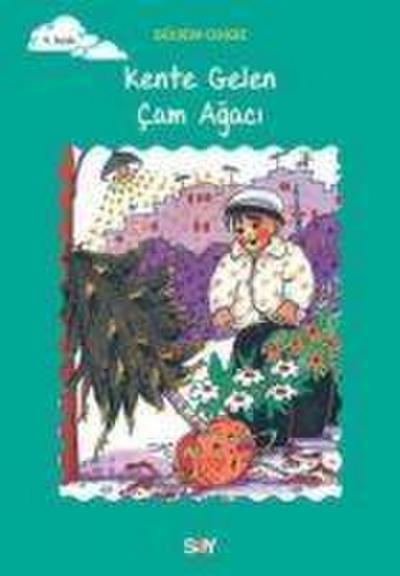 Kente Gelen Cam Agaci