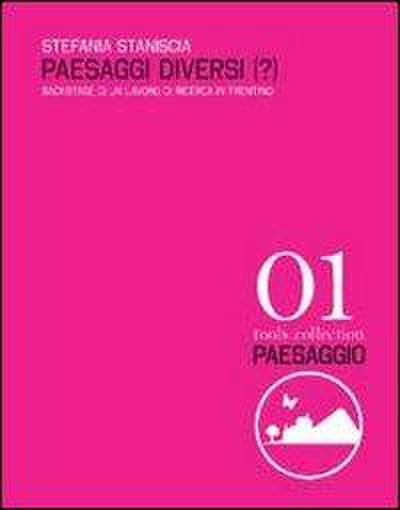 Staniscia, S: Paesaggi diversi(?). Backstage di un lavoro di