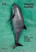 Vaquita marina