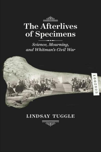 The Afterlives of Specimens: Science, Mourning, and Whitman’s Civil War