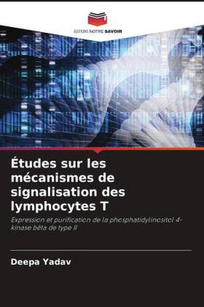 Études sur les mécanismes de signalisation des lymphocytes T