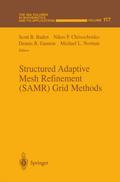 Structured Adaptive Mesh Refinement (SAMR) Grid Methods
