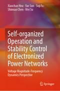 Self-organized Operation and Stability Control of Electronized Power Networks