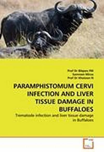 PARAMPHISTOMUM CERVI INFECTION AND LIVER TISSUE DAMAGE IN BUFFALOES
