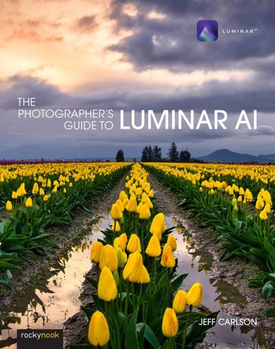 The Photographer’s Guide to Luminar AI