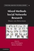 Mixed Methods Social Networks Research