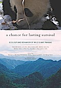 A Chance for Lasting Survival