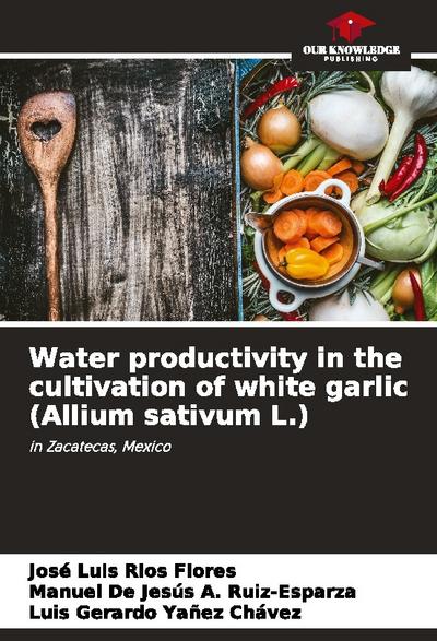 Water productivity in the cultivation of white garlic (Allium sativum L.)
