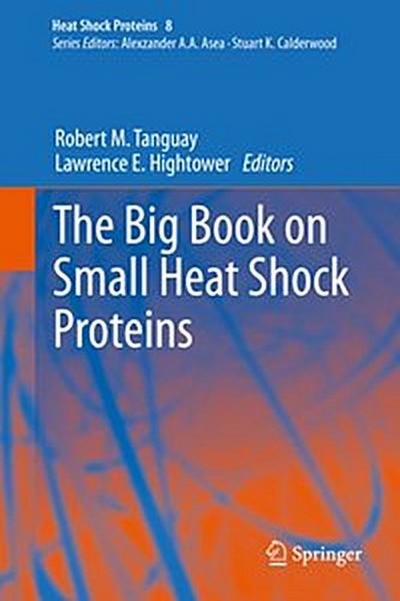 The Big Book on Small Heat Shock Proteins