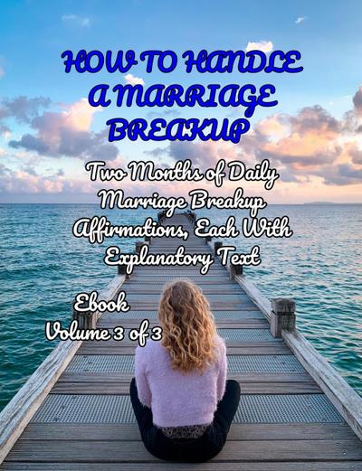 How To Handle a Marriage Breakup Volume 3 of 3