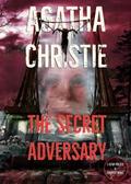 The Secret Adversary