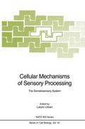 Cellular Mechanisms of Sensory Processing