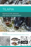 Tilapia