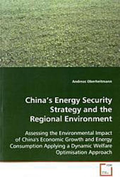China’s Energy Security Strategy and the Regional Environment