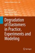 Degradation of Elastomers in Practice, Experiments and Modeling
