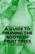 A Guide to Pruning the Roots of Fruit Trees