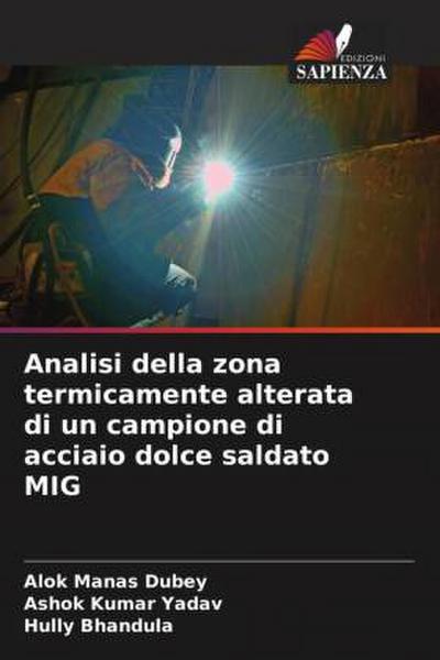 Analisi della zona termicamente alterata di un campione di acciaio dolce saldato MIG