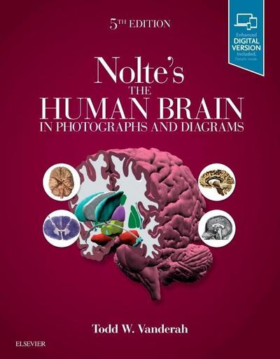 Nolte’s the Human Brain in Photographs and Diagrams
