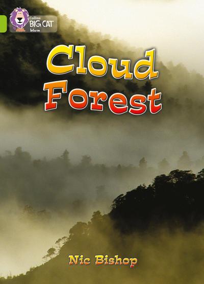 The Cloud Forest