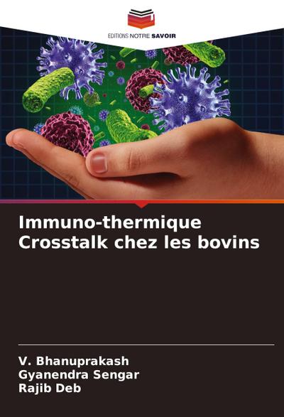 Immuno-thermique Crosstalk chez les bovins