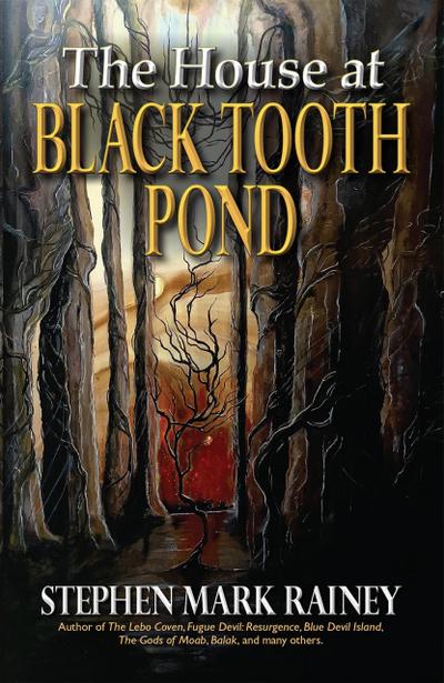 The House at Black Tooth Pond