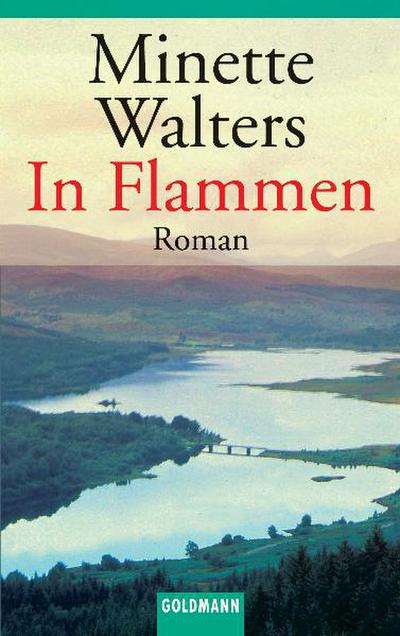 In Flammen: Roman