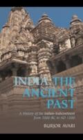 India: The Ancient Past - Burjor Avari