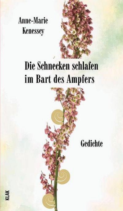 Die Schnecken schlafen im Bart des Ampfers