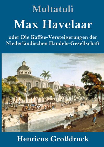 Max Havelaar (Großdruck)