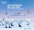 Die erstaunliche Welt der Tiere
