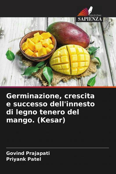 Germinazione, crescita e successo dell’innesto di legno tenero del mango. (Kesar)