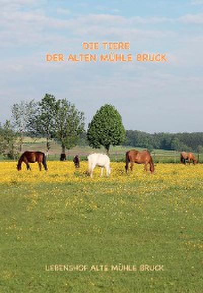 Wie kommt das Pony auf den Gnadenbrothof?