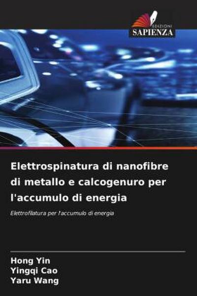 Elettrospinatura di nanofibre di metallo e calcogenuro per l’accumulo di energia