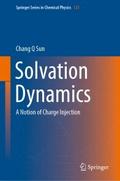 Solvation Dynamics