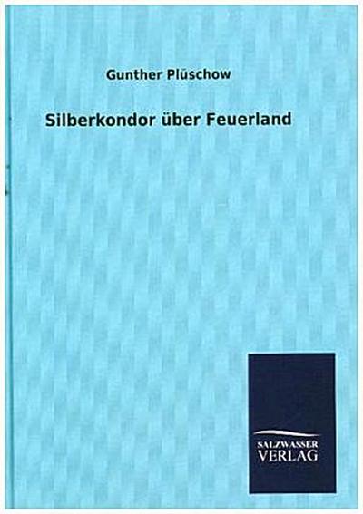 Silberkondor über Feuerland