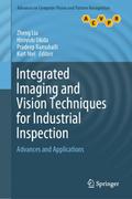 Integrated Imaging and Vision Techniques for Industrial Inspection