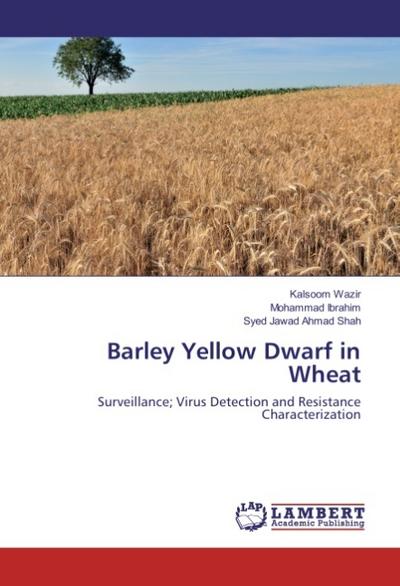 Barley Yellow Dwarf in Wheat