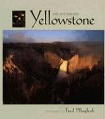 Yellowstone Wild and Beautiful