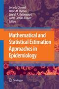 Mathematical and Statistical Estimation Approaches