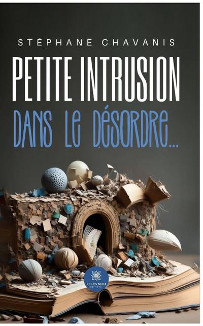 Stéphane Chavanis: Petite intrusion dans le désordre...