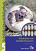 Inkubation von Schildkröteneiern