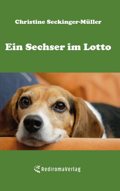 Ein Sechser im Lotto