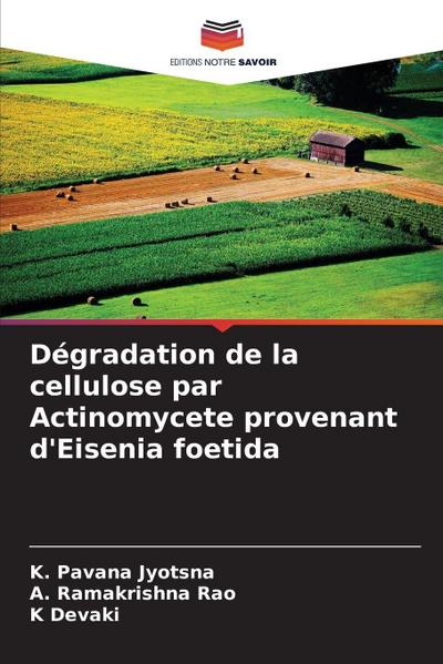 Dégradation de la cellulose par Actinomycete provenant d’Eisenia foetida