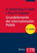 Grundelemente der internationalen Politik