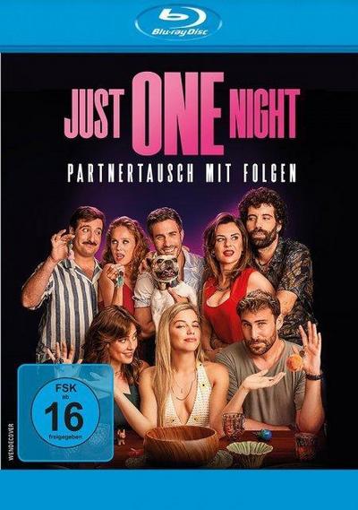 Just One Night - Partnertausch mit Folgen
